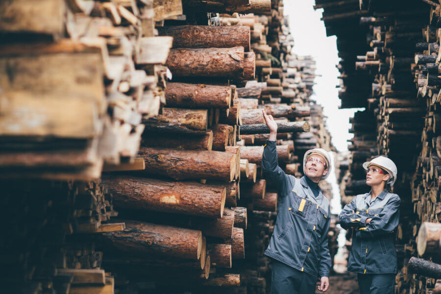 timber company by stockpile